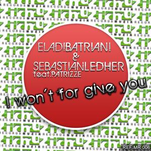 I Won't Forgive You (Instrumental Mix)