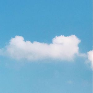他不爱我