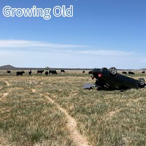 Growing Old
