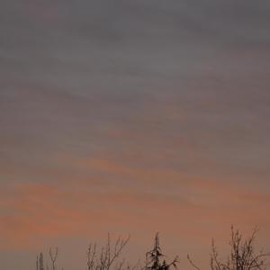 一定是我不小心 demo