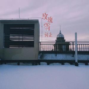玫瑰雪