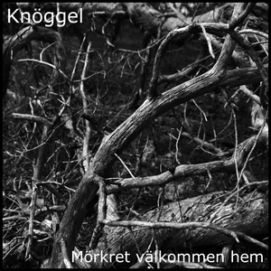 Mörkret välkommen hem