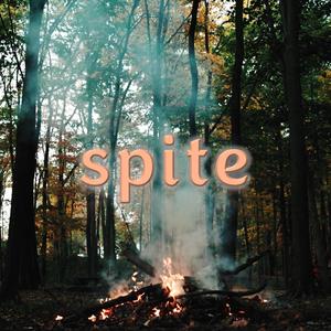 spite