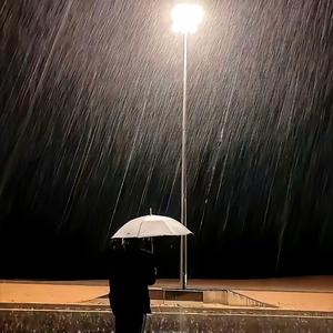 【语录】我到现在才明白