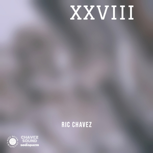 XXVIII