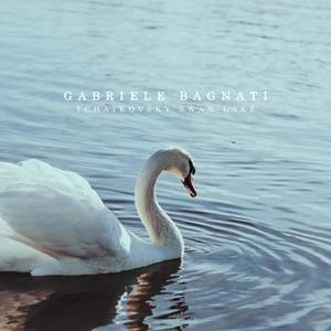 Tchaikovsky:Swan Lake Piano Variation (From Swan Lake, Op. 20a, Arr. for Piano by Jan-Peter Klöpfel)