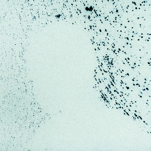 Вечеринка (Speed Up)