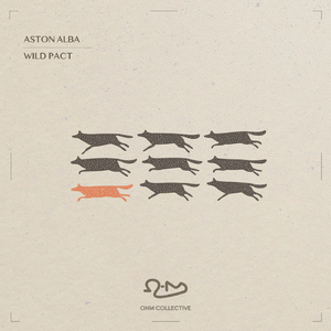 Wild Pact (Extended Mix)