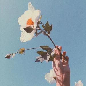 Last Dance (钢琴版)