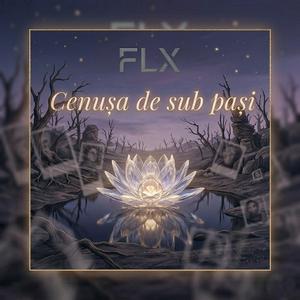 Cenușa de sub pași