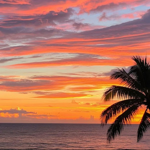 不要慌，太阳下山有月光 (Live)