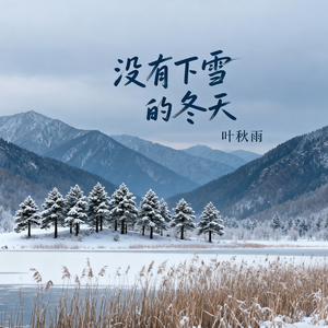 没有下雪的冬天
