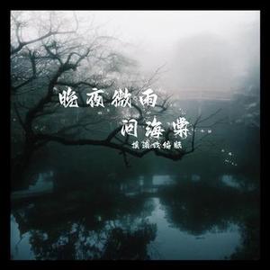 晚夜微雨问海棠 (摇滚改编版)