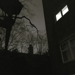 11月11日皮尔森街没有烟花