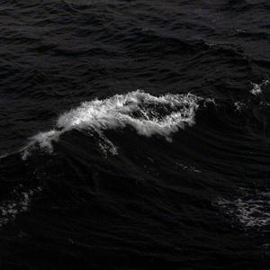 玫瑰送你才浪漫