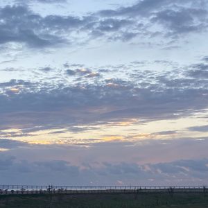 我想要的这一切