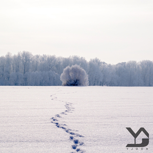 한 해를 마무리하며