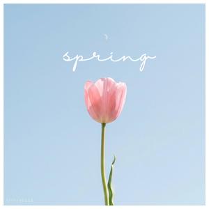 Letting Go