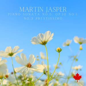 Piano Sonata No.5, Op.10 No.1: No.3 Prestissimo