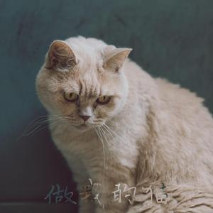 满舒克-做我的猫（花照壁 remix）