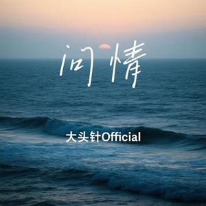 问情 (大头针Official Remix)