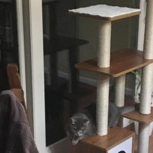 01100011 01100001 01110100