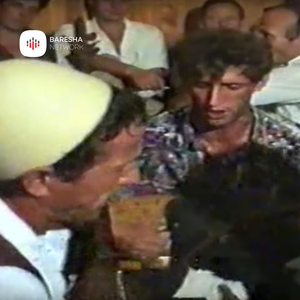 Ali pasha pasha i vogel