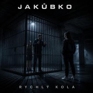 Rychlá kola