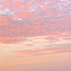 Pink Sky(prod.CH4NUKI)