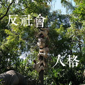 西医开中药