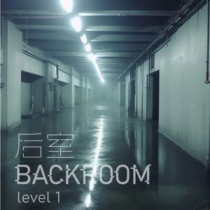 Level1
