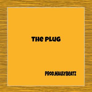 The Plug