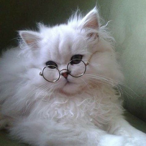 GO ALL THE WAY (slowed)