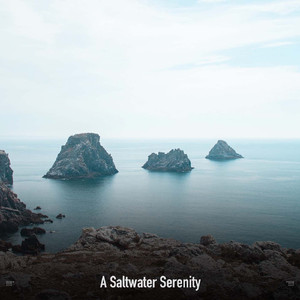 Melodic Wave Sounds
