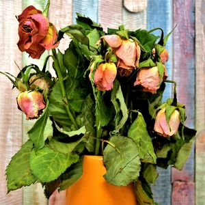 Zrozum mnie (Single Edit)