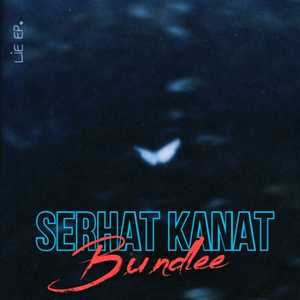 Bundlee