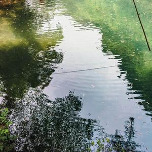 不知归期的故人