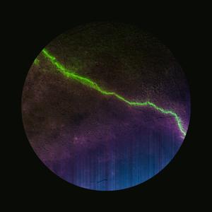 Yielding Wren (feat. Vanessa Rossetto)
