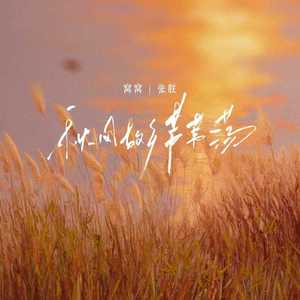 秋风故乡芦苇荡