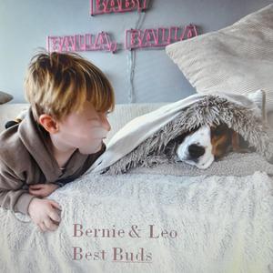 Bernie and Leo (Best Buds)