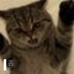 朋友相伴的漫漫征途