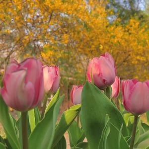 U＆Me（Prod.Gr33nart Beats）