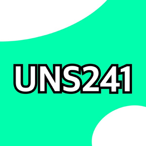 UNS241