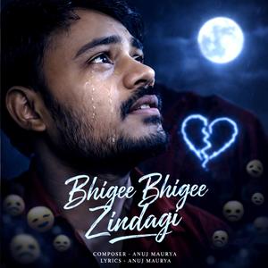 Bhigee Bhigee Zindagi