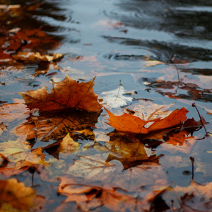 ordinarytrap02(freestyle)