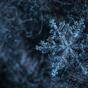 雪（prod.by Morrow x FAS）