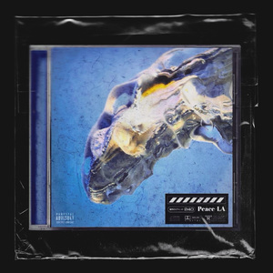 6月7日杂忆笔录