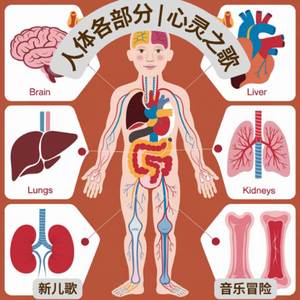 人体各部分 | 心灵之歌 – 新儿歌