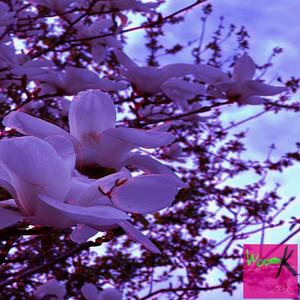 说唱Beat国风系列-1