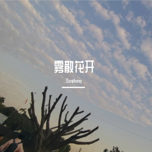 雾散花开